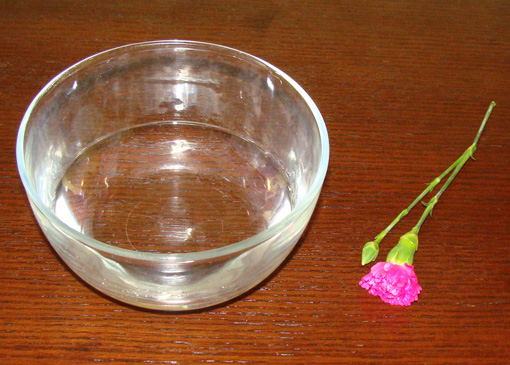 bowl and flower